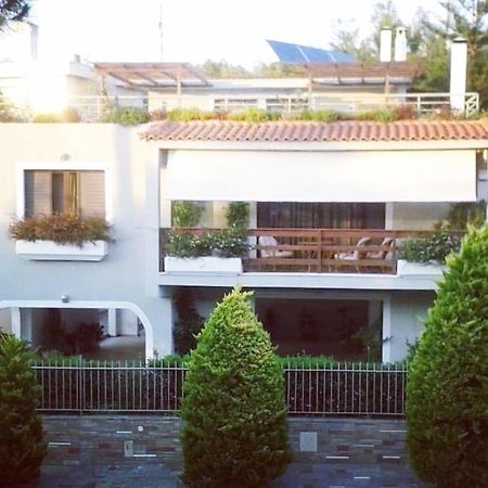 אתונה Fantastic Villa, A 5 Minute Drive From The Beach! מראה חיצוני תמונה