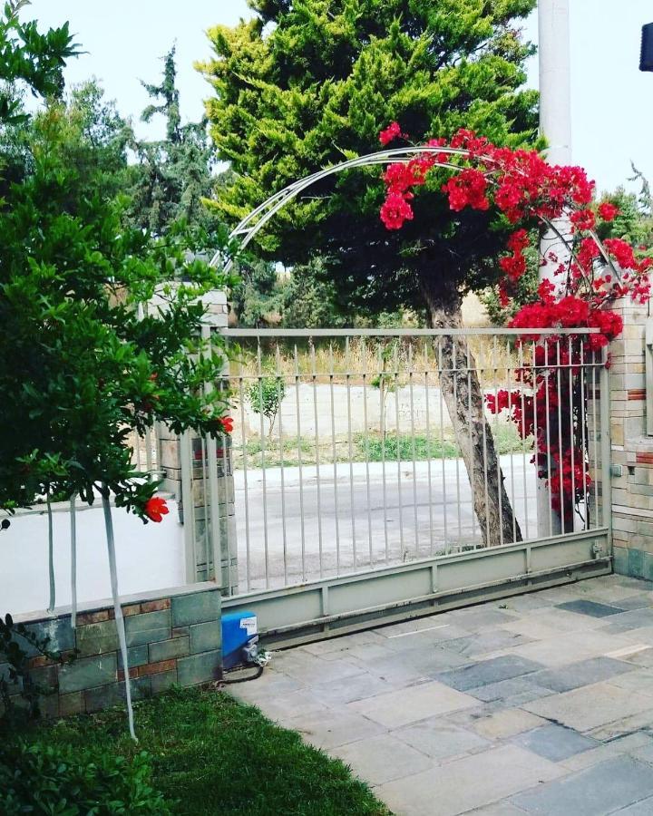 אתונה Fantastic Villa, A 5 Minute Drive From The Beach! מראה חיצוני תמונה