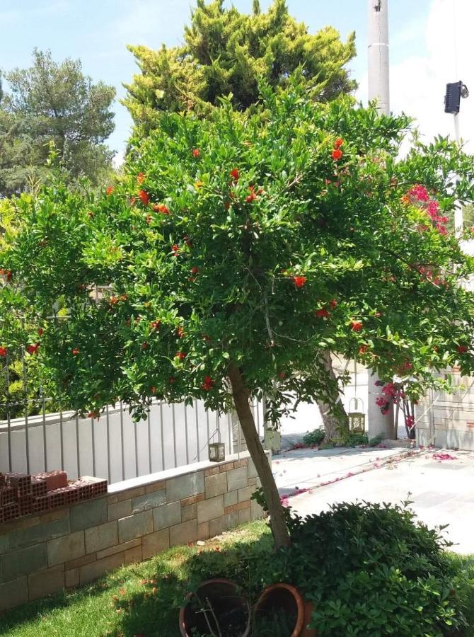 אתונה Fantastic Villa, A 5 Minute Drive From The Beach! מראה חיצוני תמונה