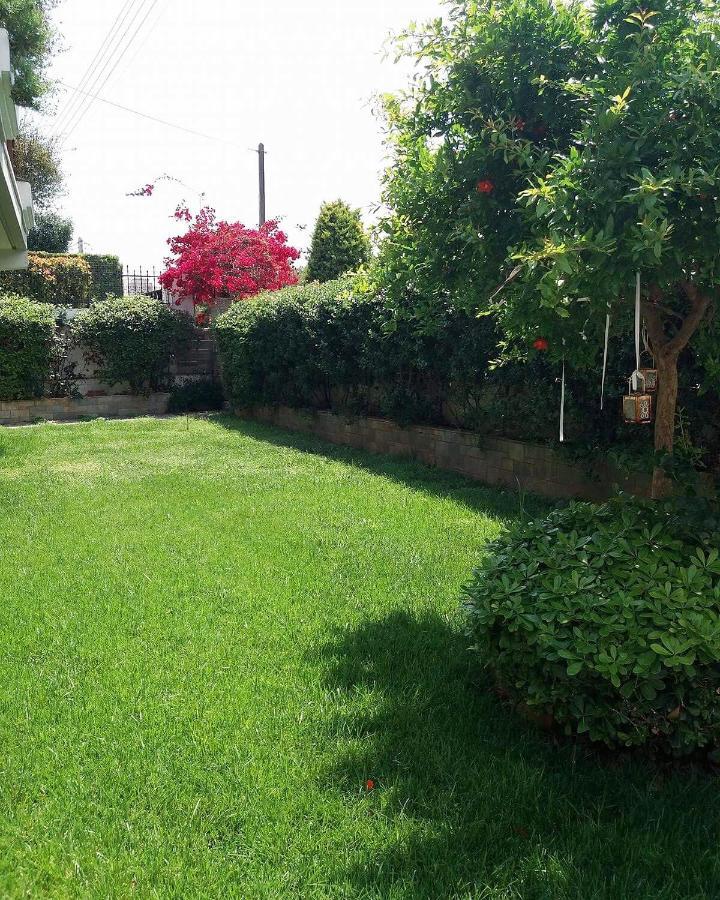 אתונה Fantastic Villa, A 5 Minute Drive From The Beach! מראה חיצוני תמונה