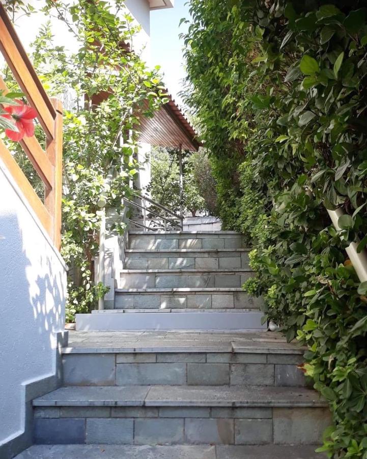 אתונה Fantastic Villa, A 5 Minute Drive From The Beach! מראה חיצוני תמונה