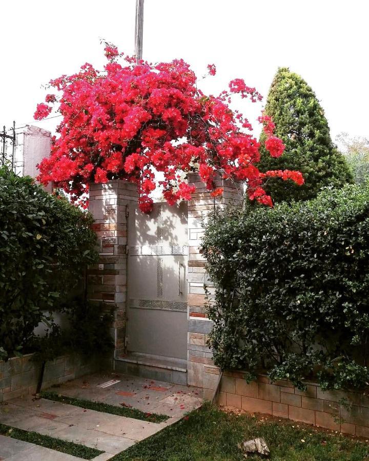 אתונה Fantastic Villa, A 5 Minute Drive From The Beach! מראה חיצוני תמונה